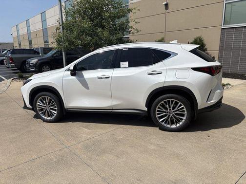 2025 Lexus NX 350 Luxury