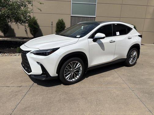 2025 Lexus NX 350 Luxury