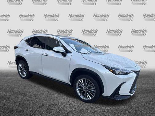 2025 Lexus NX 350h Premium