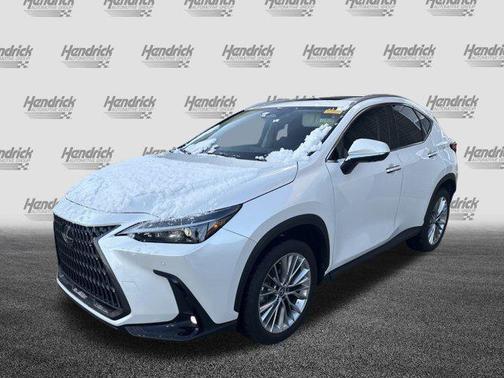2025 Lexus NX 350h Premium