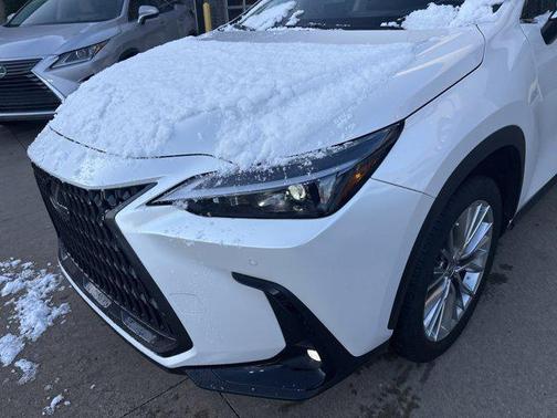 2025 Lexus NX 350h Premium