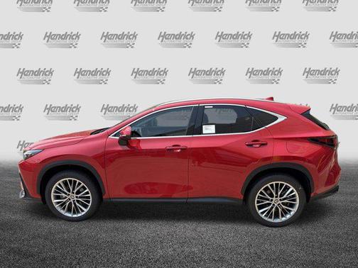 2025 Lexus NX 350 Luxury