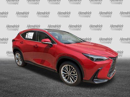 2025 Lexus NX 350 Luxury