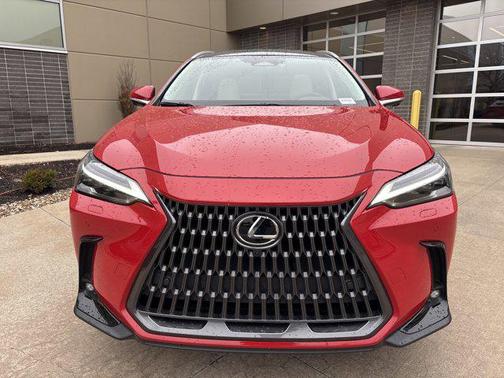 2025 Lexus NX 350 Luxury