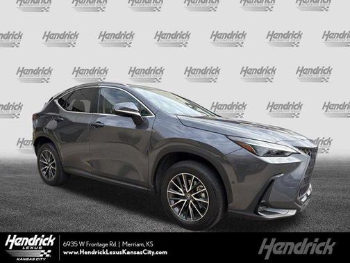 Cloudburst Gray 2025 Lexus NX 350h Luxury