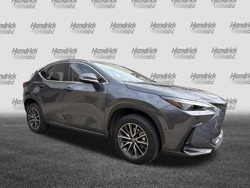 Cloudburst Gray 2025 Lexus NX 350h Luxury