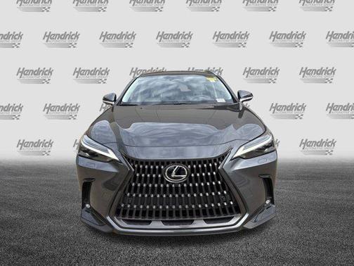 Cloudburst Gray 2025 Lexus NX 350h Luxury