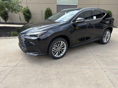 2025 Lexus NX 350 Luxury