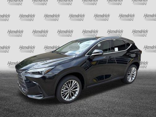 2025 Lexus NX 350 Luxury