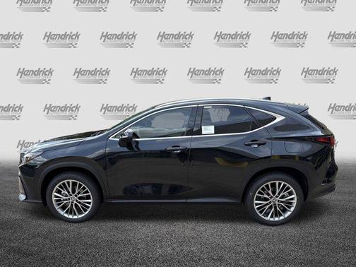 2025 Lexus NX 350 Luxury