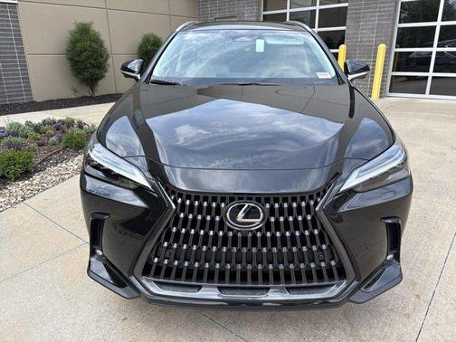 2025 Lexus NX 350 Luxury