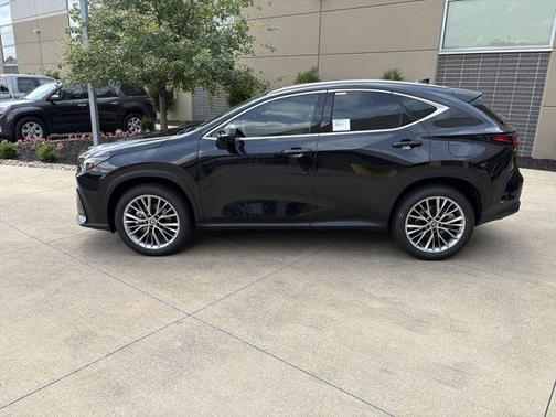 2025 Lexus NX 350 Luxury