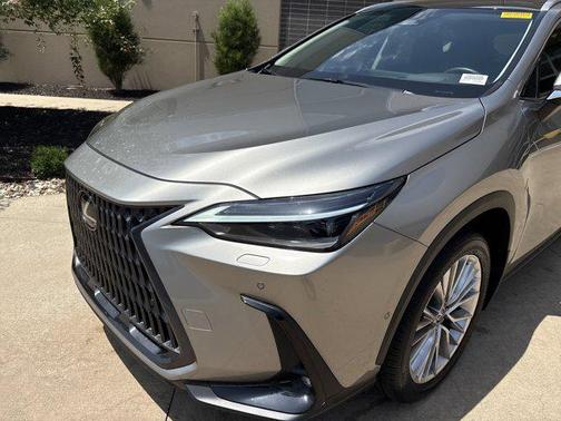 2025 Lexus NX 350 Luxury