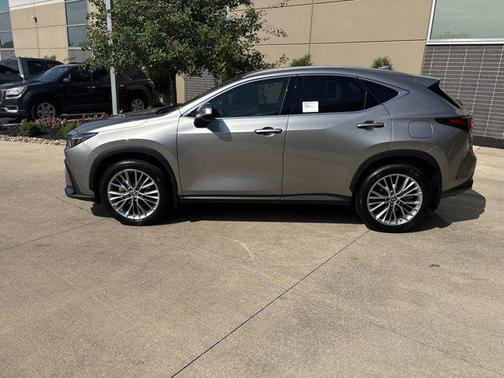 2025 Lexus NX 350 Luxury