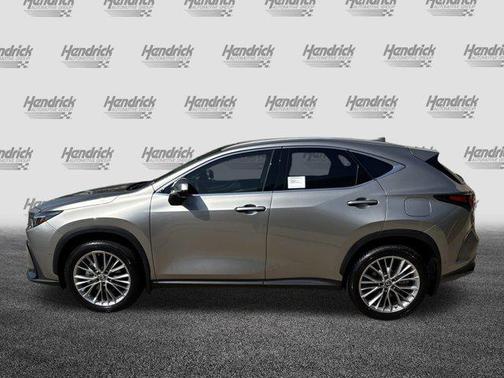 2025 Lexus NX 350 Luxury