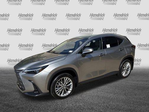2025 Lexus NX 350 Luxury