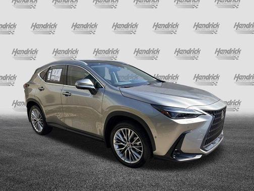 2025 Lexus NX 350 Luxury