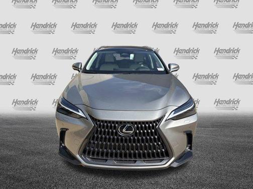 2025 Lexus NX 350 Luxury