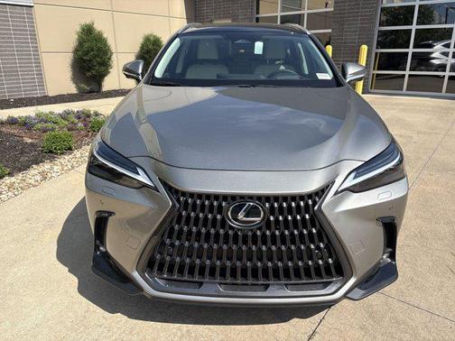 2025 Lexus NX 350 Luxury