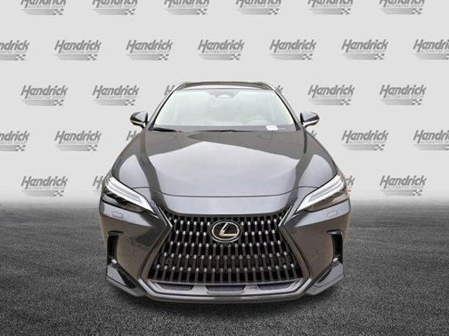 2025 Lexus NX 350 Luxury