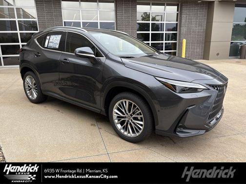 2025 Lexus NX 350 Luxury