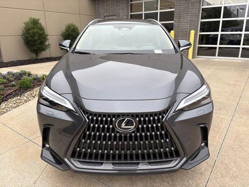 2025 Lexus NX 350 Luxury
