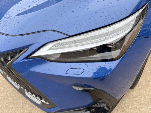 2025 Lexus NX 350 Luxury