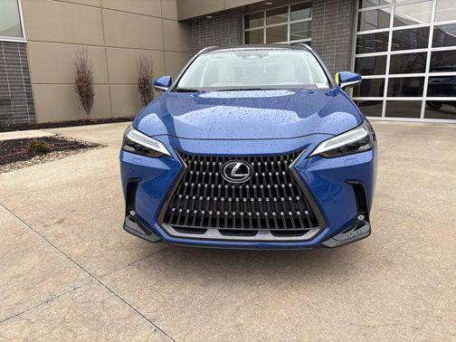 2025 Lexus NX 350 Luxury