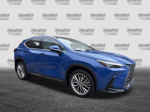 2025 Lexus NX 350 Luxury