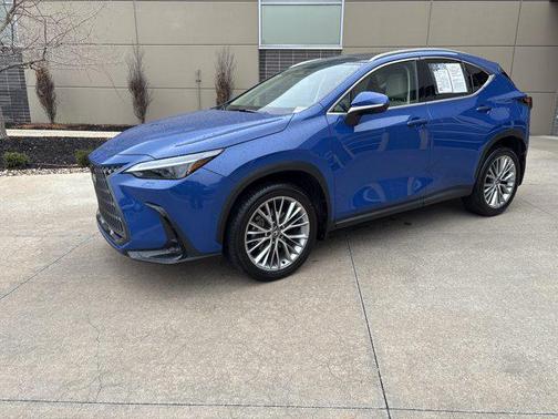2025 Lexus NX 350 Luxury