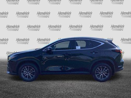 2025 Lexus NX 350h 350h