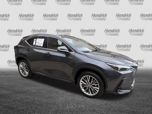 2025 Lexus NX 350 Luxury