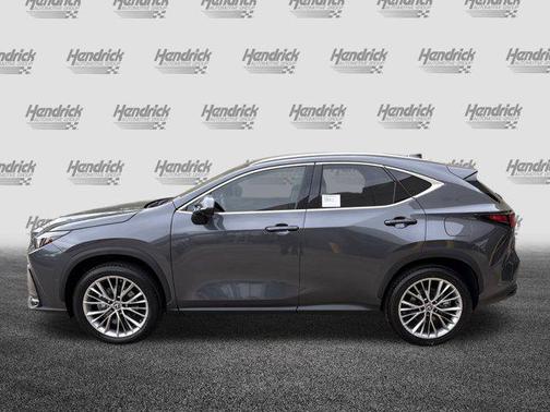 2025 Lexus NX 350 Luxury
