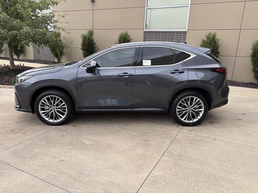 2025 Lexus NX 350 Luxury