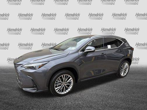 2025 Lexus NX 350 Luxury