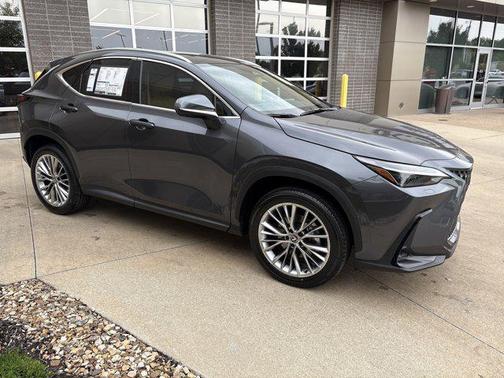 2025 Lexus NX 350 Luxury