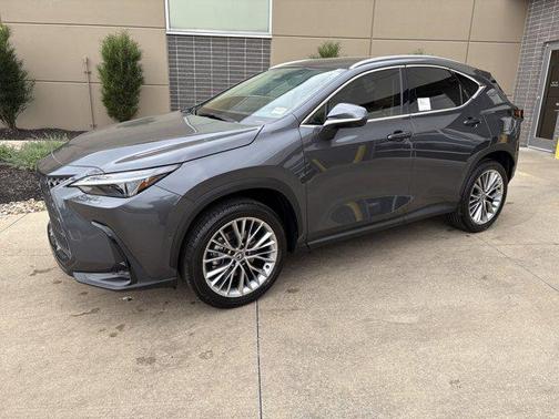 2025 Lexus NX 350 Luxury