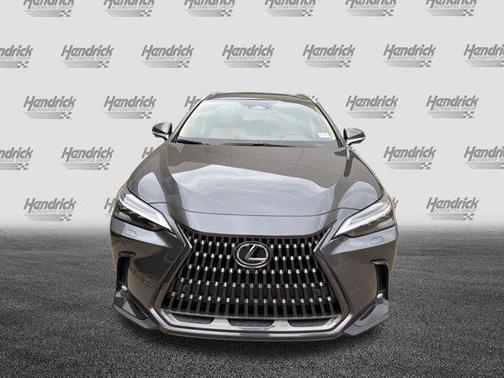 2025 Lexus NX 350 Luxury