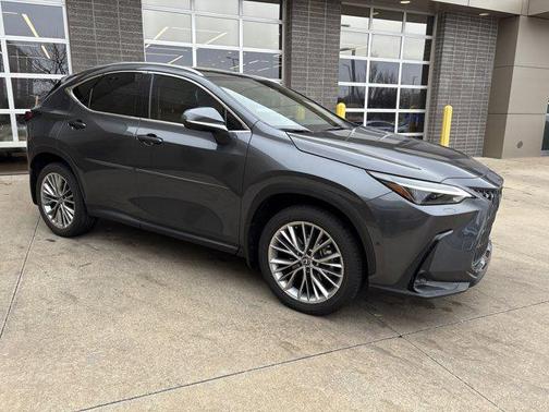 2025 Lexus NX 350 Luxury