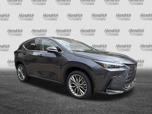 Cloudburst Gray 2023 Lexus NX 350h Luxury