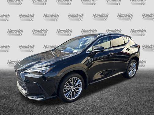 2025 Lexus NX 350 Luxury