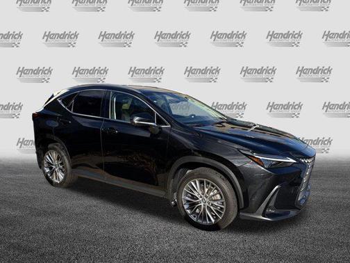 2025 Lexus NX 350 Luxury