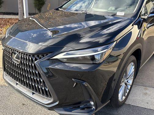 2025 Lexus NX 350 Luxury