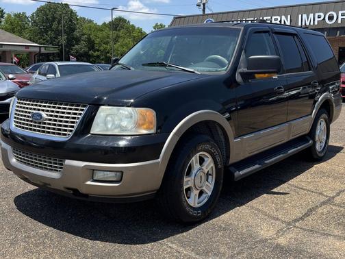 Aspen Green Metallic 2003 Ford Expedition 5.4L Eddie Bauer
