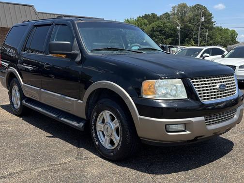 Aspen Green Metallic 2003 Ford Expedition 5.4L Eddie Bauer