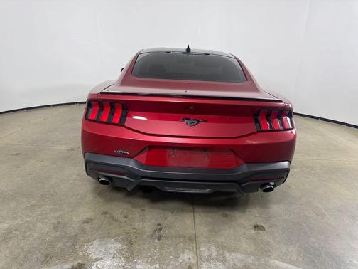 Rapid Red Metallic Tinted Clearcoat 2024 Ford Mustang EcoBoost