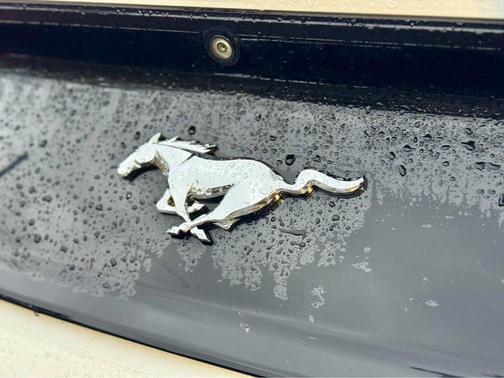 2016 Ford Mustang EcoBoost