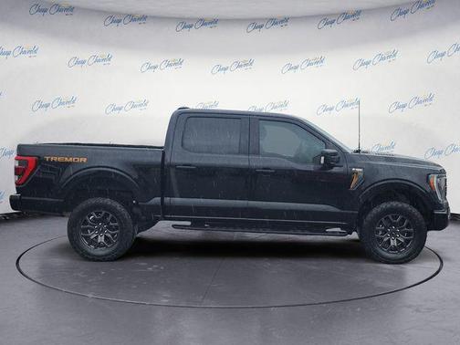 Agate Black Metallic 2023 Ford F-150 Tremor
