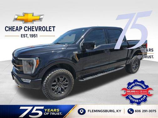 Agate Black Metallic 2023 Ford F-150 Tremor