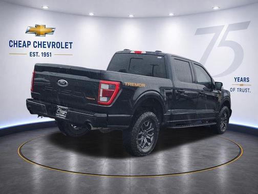 Agate Black Metallic 2023 Ford F-150 Tremor